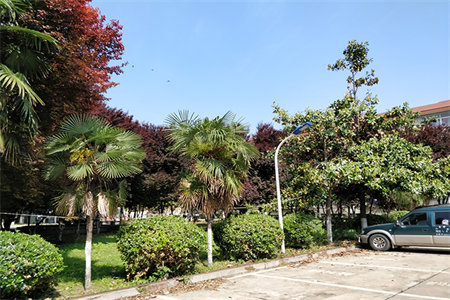 城东阳光海岸3室2厅2卫122万145m2出售